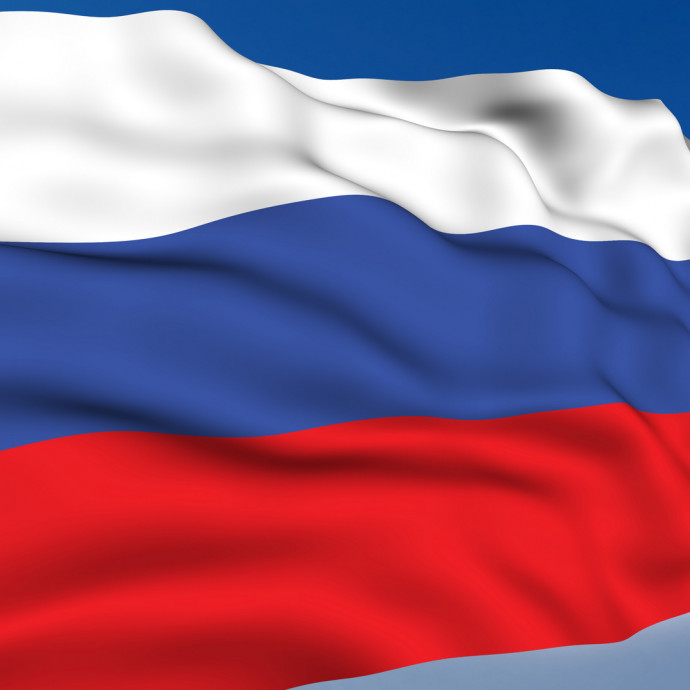 Поделка ко Дню Государственного флага Российской Федерации