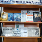 Выставка-память &laquo;Чернобыль: помним ради будущего&raquo; 0